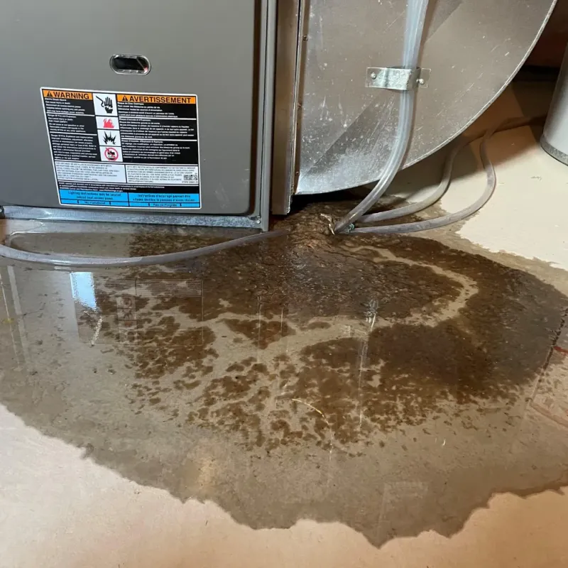 Appliance Leak Cleanup in Rocky Point, NC